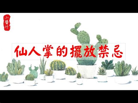 仙人掌化煞|仙人掌風水指南：提升居家能量與幸福感 